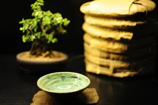 普洱茶饼茶杯茶景