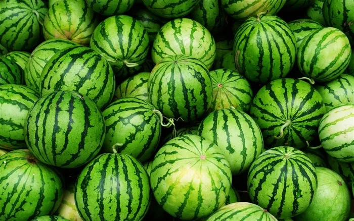 大西瓜高清摄影素材