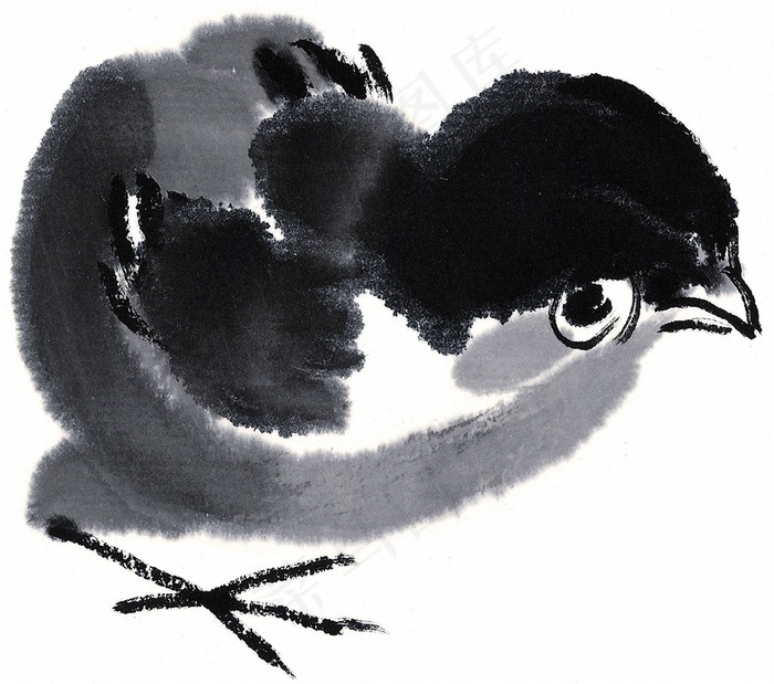 野生动物系列图片素材