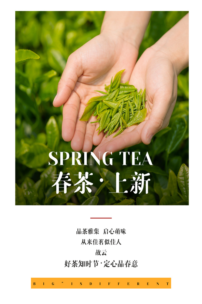 春茶上市茶业中国风促销海报