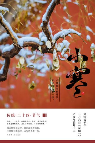 中国传统冬天小寒祝福24二十四节气节日宣传活动海报