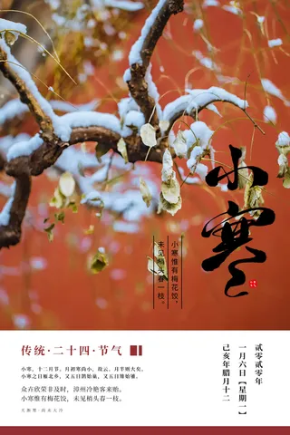中国传统冬天小寒祝福24二十四节气节日宣传活动海报