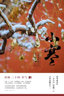 中国传统冬天小寒祝福24二十四节气节日宣传活动海报 中国传统冬天小寒祝福24二十四节气节日宣传活动海报