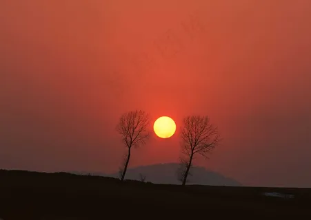 丛林之美 394 丛林之美 394