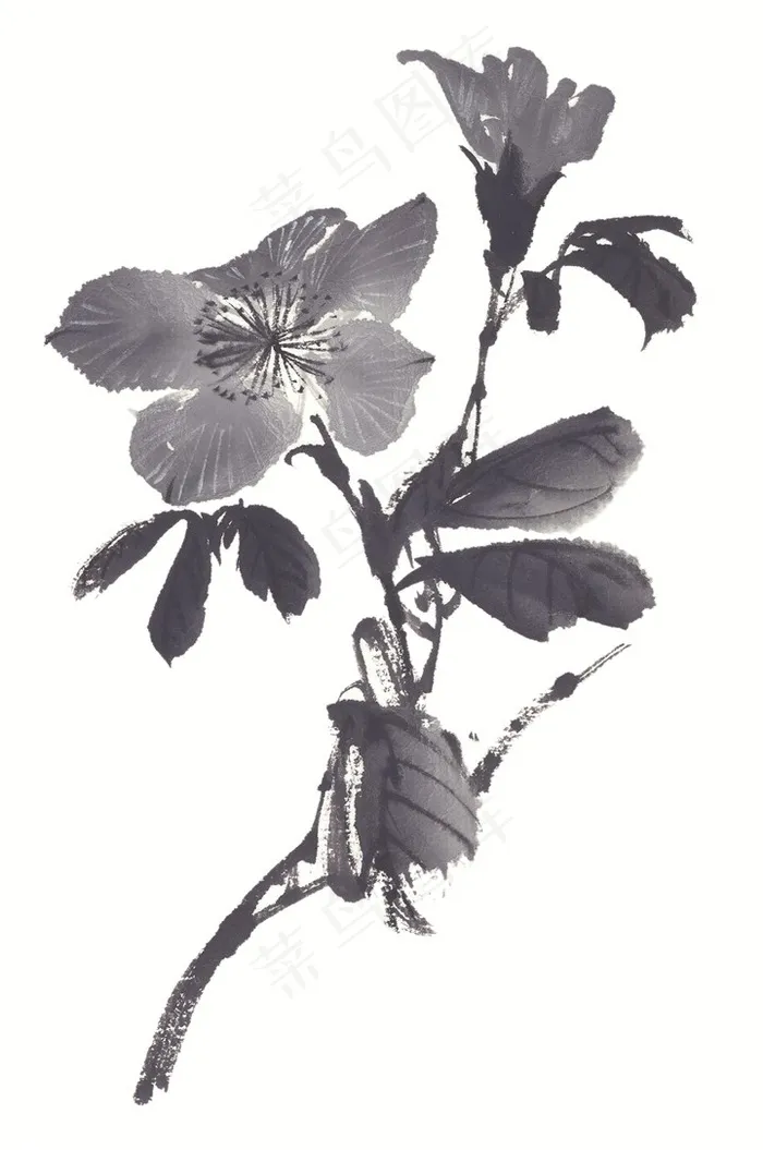 写意花卉美术绘画jpg素材