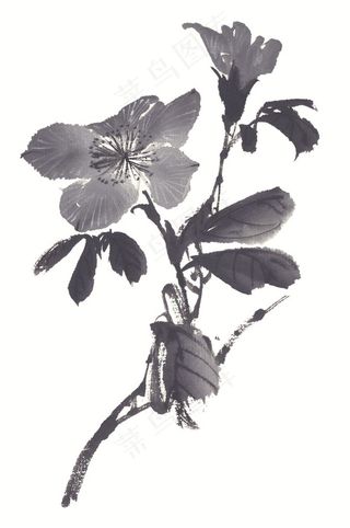 写意花卉美术绘画jpg素材