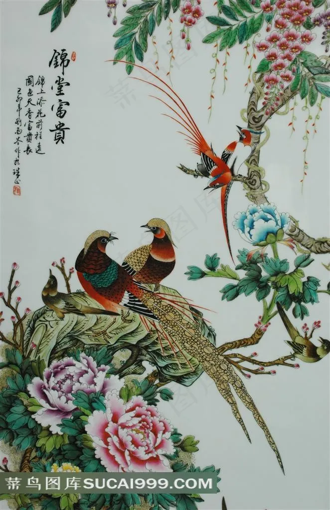 牡丹花鸟锦鸡图片