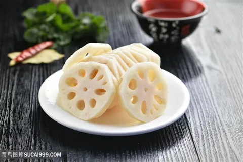 藕片小暑夏季 藕片小暑夏季
