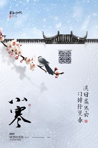 中国传统小寒祝福24二十四节气节日宣传活动海报