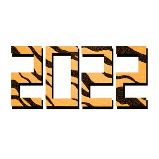 2022虎年新年国潮手写艺术字体春节海报数字设计png免扣图psd素材