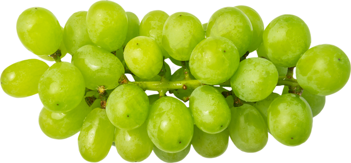 03_Grapes