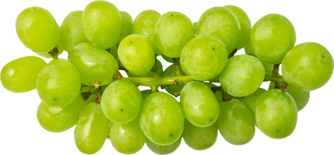 03_Grapes