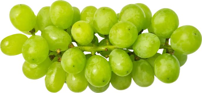 03_Grapes 03_Grapes