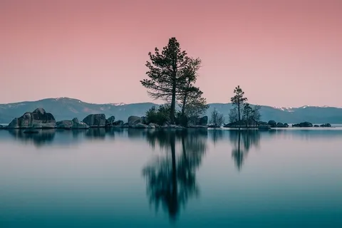 冬天自然背景风景 冬天自然背景风景