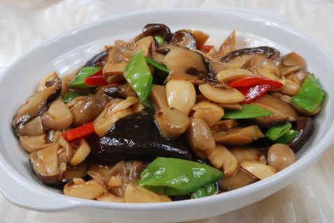 0911CC-551蚝油三菇