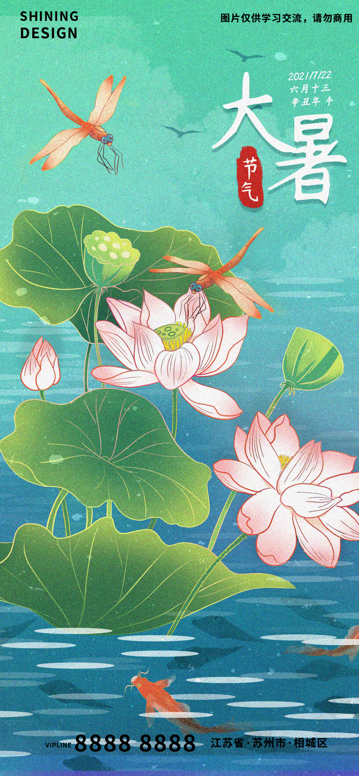 荷花蜻蜓手绘插画大暑海报
