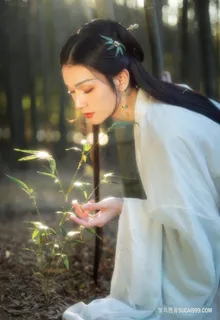 清晨白衣古装女子写真图片