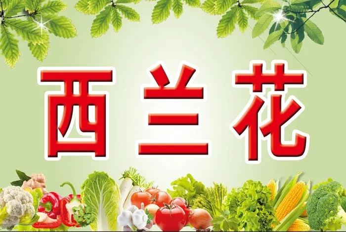 菜牌 菜地牌psd模版下载