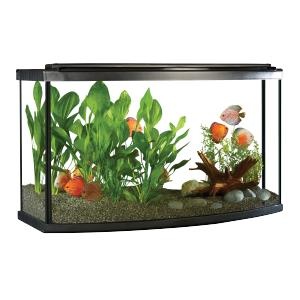 水族馆 PNG免抠(300x300)