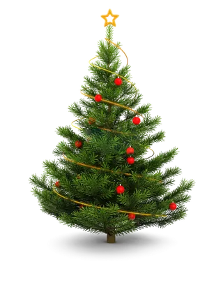 PNG透明素材图片