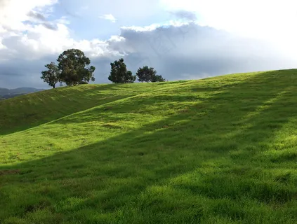 绿色青草地图片 绿色青草地图片