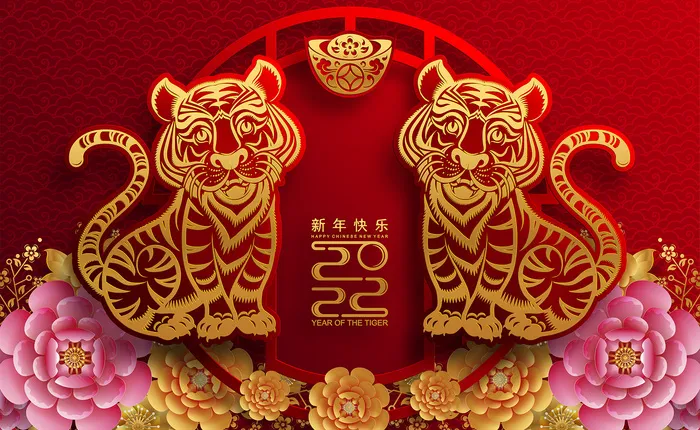 虎年图案创意AI矢量素材eps,ai矢量模版下载