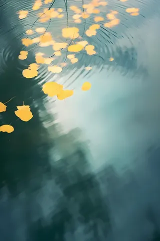 水面黄色秋叶树叶意境背景