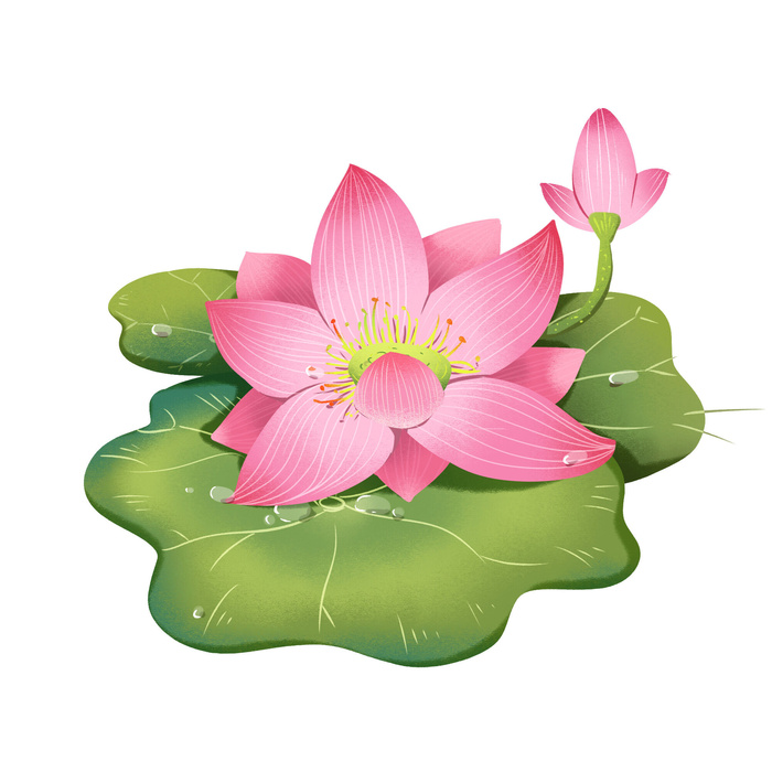 国潮中国风手绘荷花莲花荷叶莲藕植物花卉装饰插画PSD设计素材