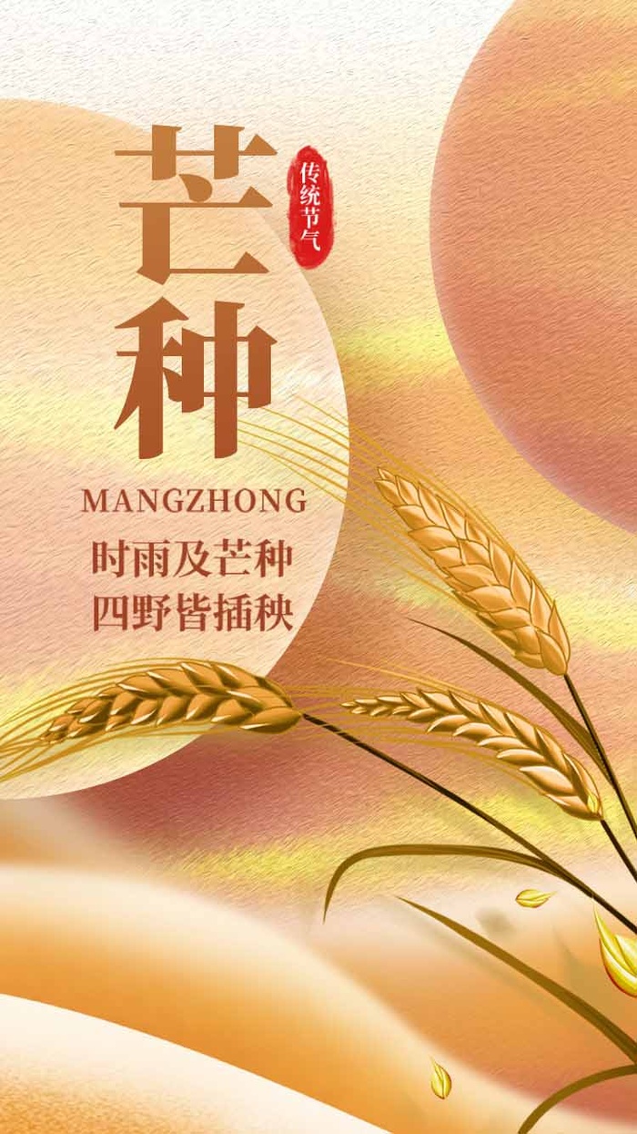 芒种 芒种活动海报psd模版下载