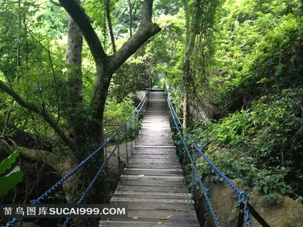 海南三亚森林公园中的索桥