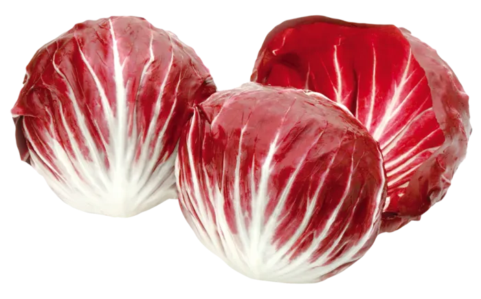 包菜红叶红心菜