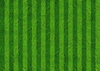 足球场草地草坪背景