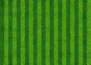 足球场草地草坪背景