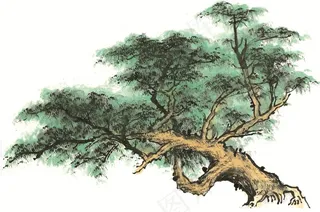 古木文化艺术图片素材