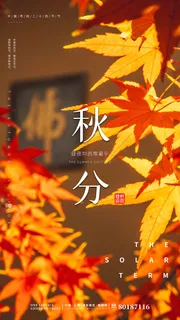 清新文艺简约秋分二十四节气海报