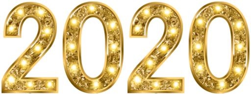 2020 年 PNG免抠(600x229)