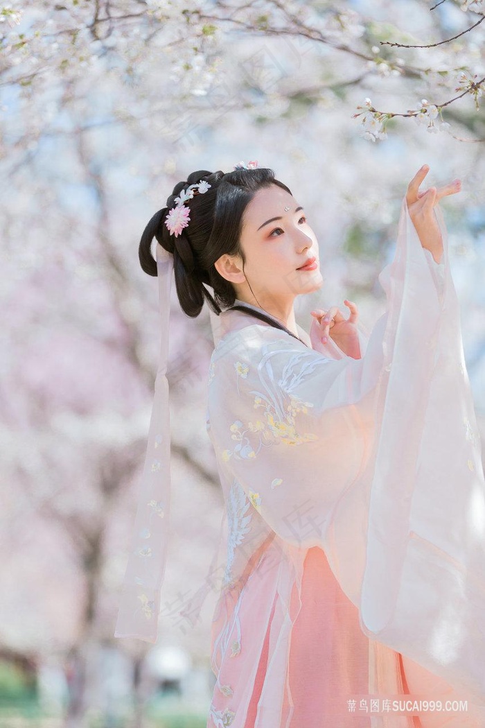 超清唯美户外樱花摄影古风美女图片