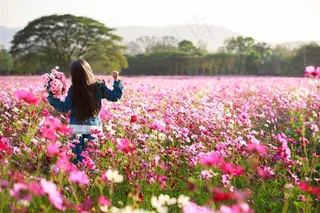 天真烂漫的小女孩儿童图片
