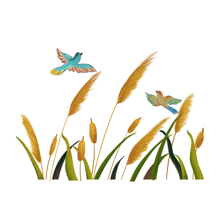 暖色调节日节气风景元素飘荡的芦苇和鸟儿免扣