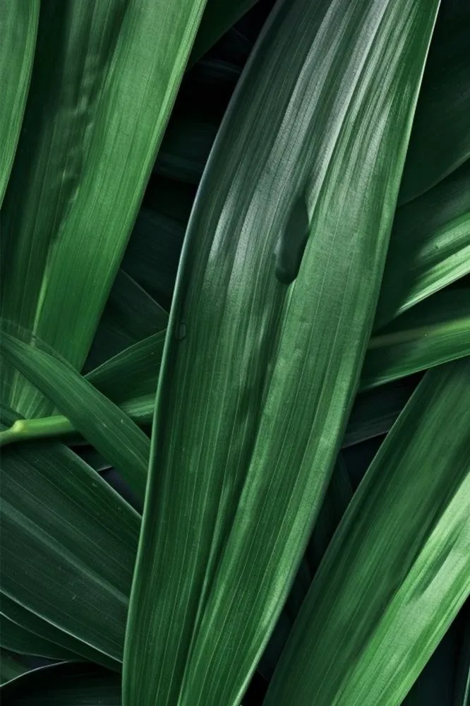 端午简约大气绿色粽叶背景