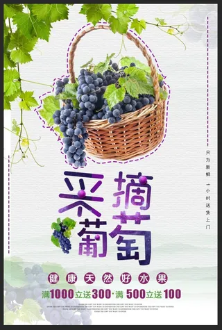 采摘葡萄海报