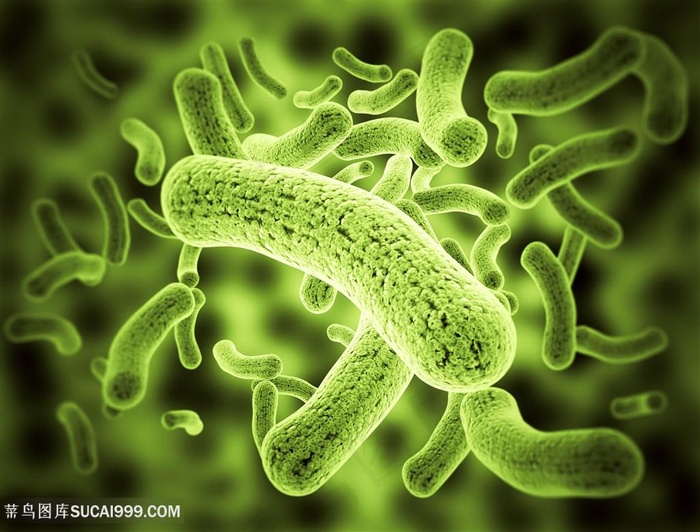 细菌微生物高清图