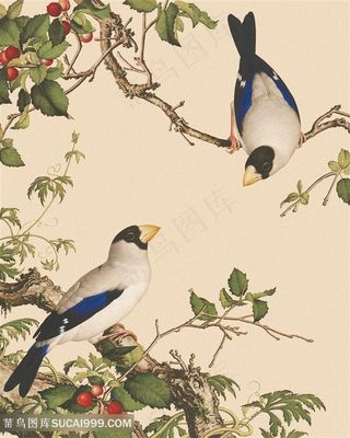 郎世宁 植物树枝鸟装饰画