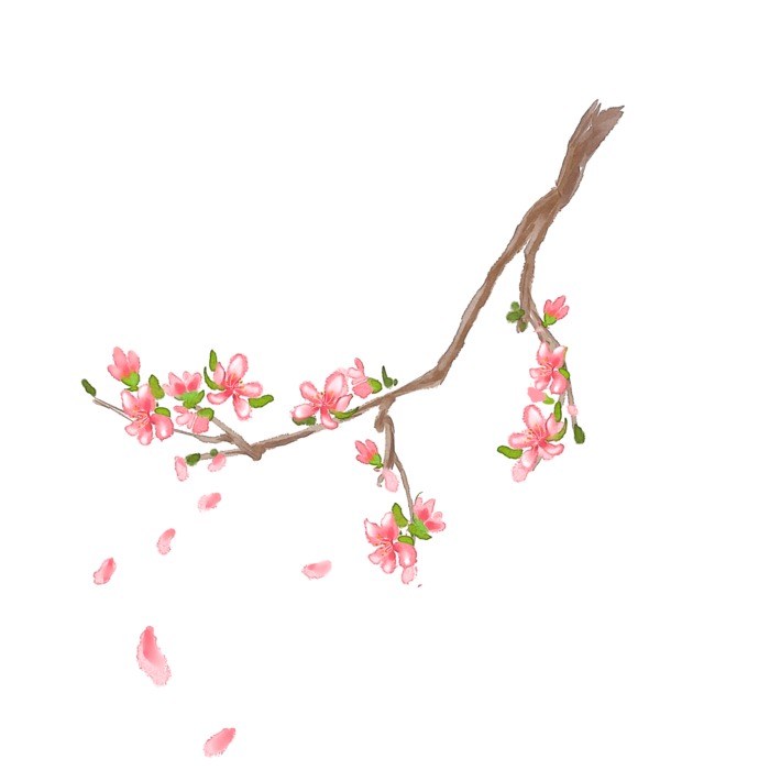 春天浪漫粉红色樱花手绘樱花梅花桃花花朵图片PNG免扣素材