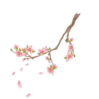 春天浪漫粉红色樱花手绘樱花梅花桃花花朵图片PNG免扣素材