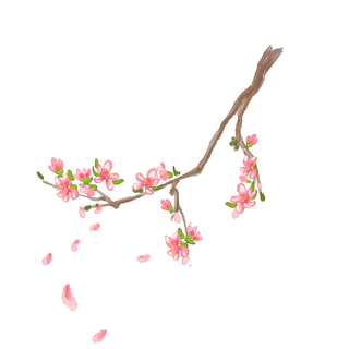 春天浪漫粉红色樱花手绘樱花梅花桃花花朵图片PNG免扣素材