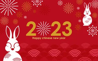 2023新春活动除夕国潮风卡通兔年喜庆新年插画海报PSD设计素材