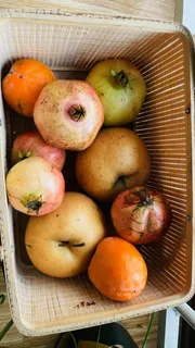 秋收静物果实成熟系列