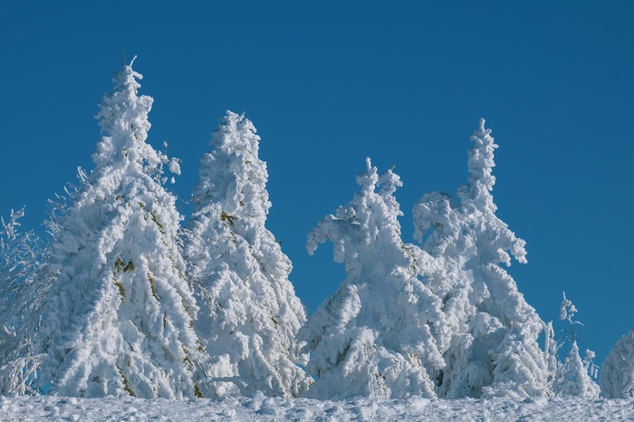 冬天白雪背景风景