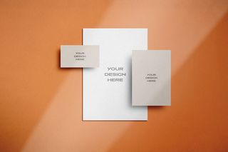 设计品牌标识样机psd素材